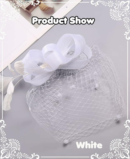 Kidukso Fascinators Hat Vintage 1930s Derby Mesh Veil Feathers White