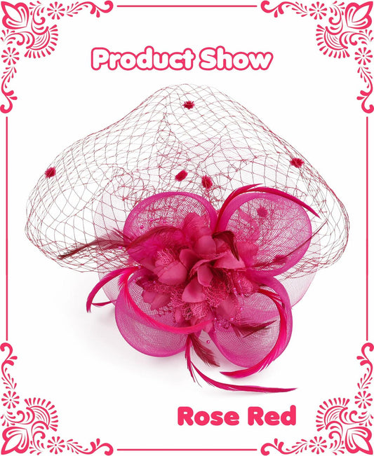 Kidukso Fascinators Hat Vintage 1923s Derby Mesh Veil Feathers Rose Red