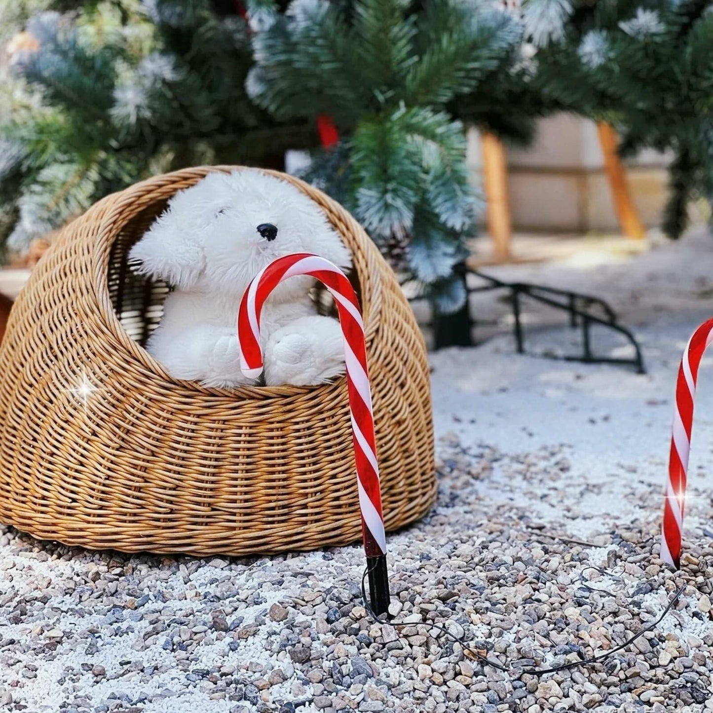 CYLHCM 24PCS Plastic Candy Cane Stakes for Christmas Lights 0.68-6.05in