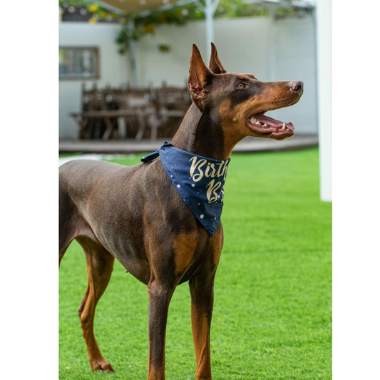 Dog Birthday Party Hats Bandana Double Layer Fabric Large Blue Size L