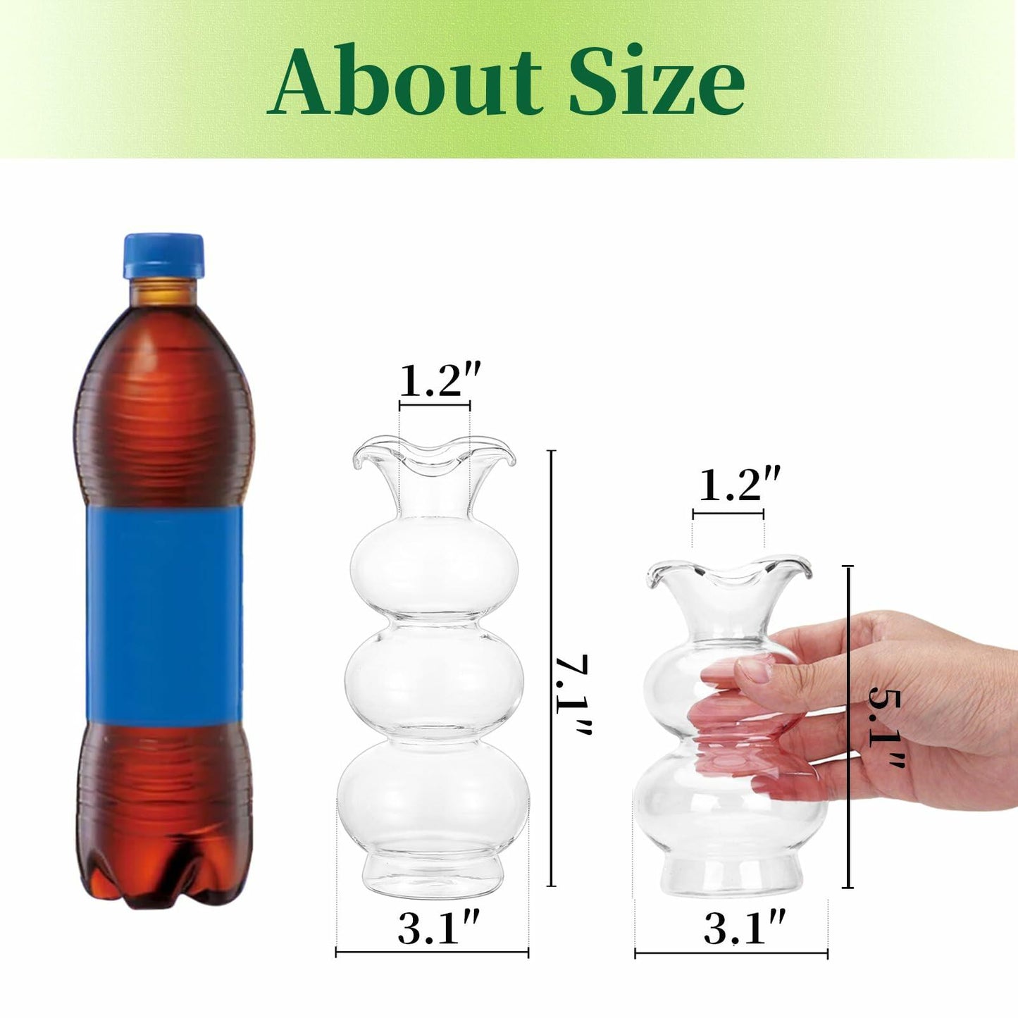 Hewory Glass Bubble Bud Vase Small Clear Glass Flower Vase for Single Stem