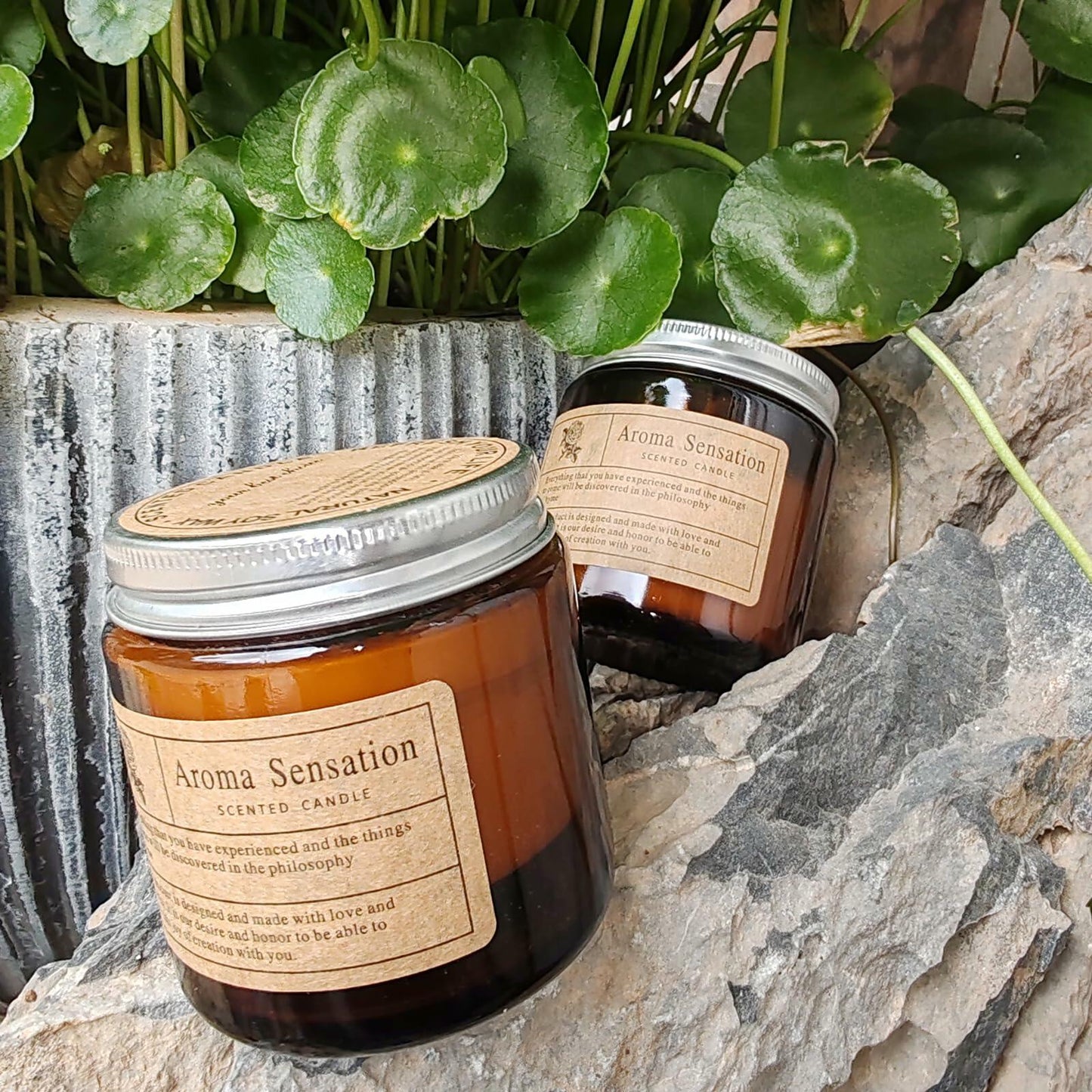 Aaicandle Bluebell Scented Candle 3.5oz Jar Birthday Gift