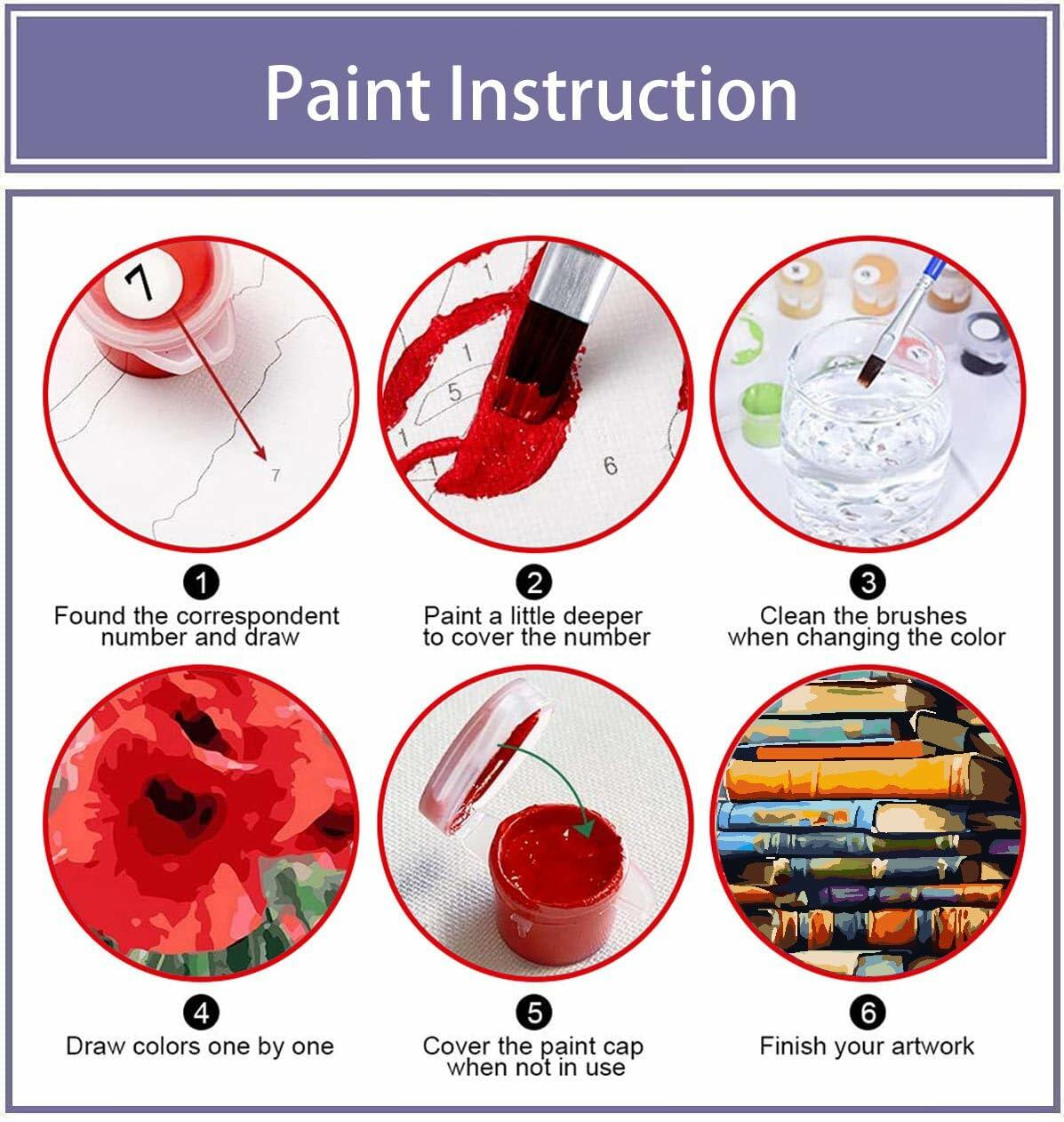 Eiazuiks Paint by Number Kit for Adults 12x16 Canvas with Frame & 2 Brushes