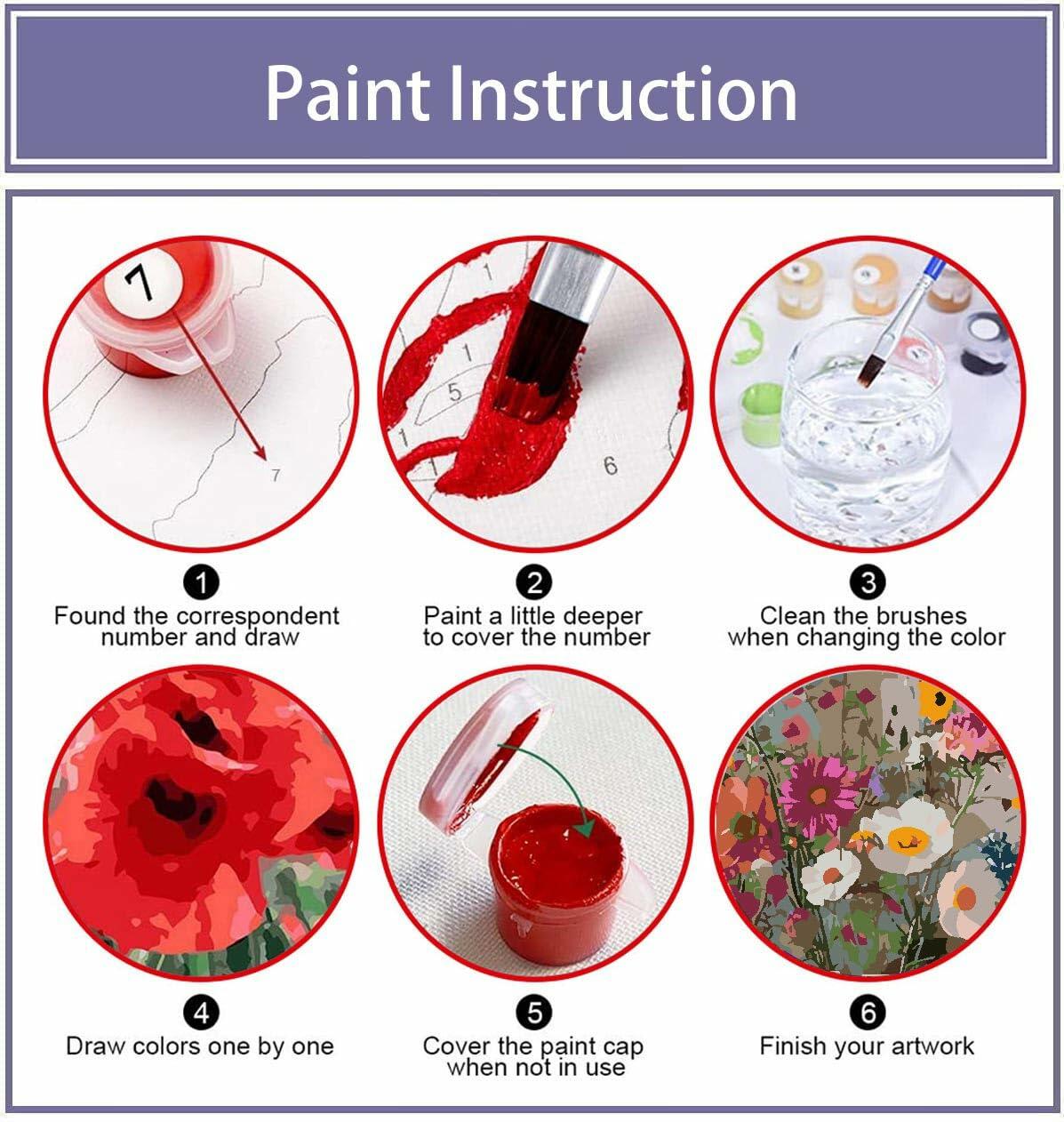 Eiazuiks Paint by Number Kit for Adults 12x16 Little Daisy with Frame & Brushes