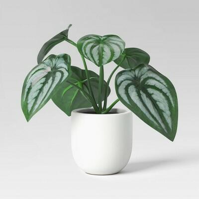Threshold Mini Tabletop Peperomia Artificial Plant 5.5" White Green