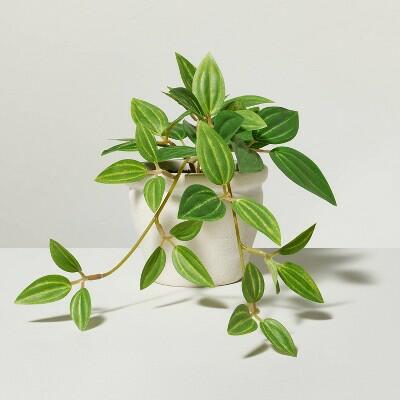 Hearth & Hand 8" Mini Faux Ivy Plant Paper Mache Beige Indoor Decor