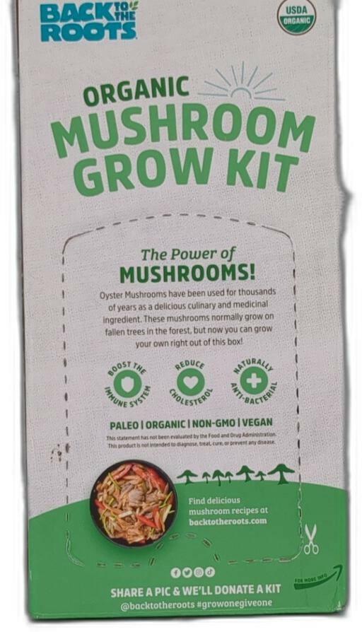 BACK TO THE ROOTS Organic Mushroom Farm Grow Kit 1 EA Green