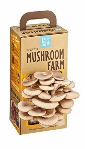 BACK TO THE ROOTS Organic Mushroom Farm Grow Kit 1 EA Green