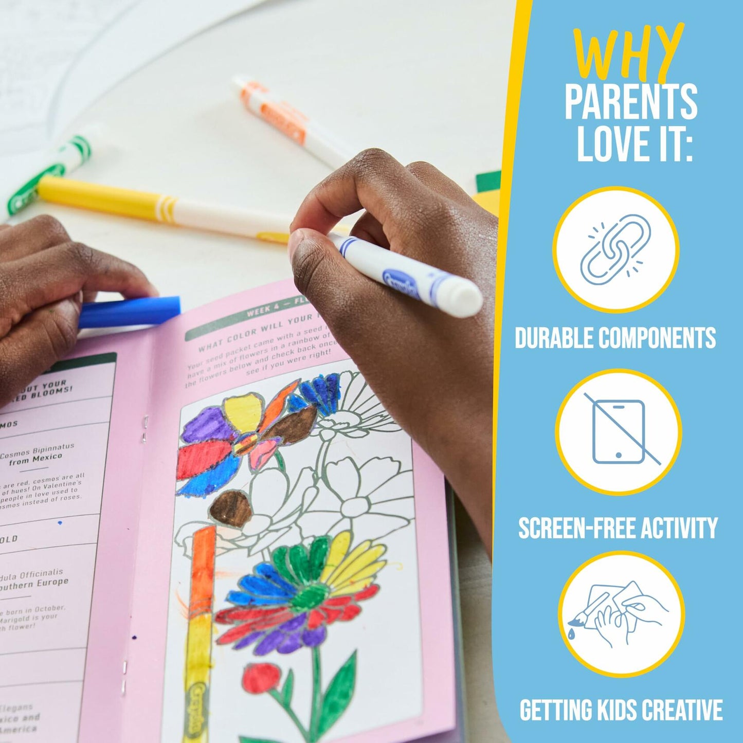 Garden Republic Jr Color and Plant Starter Grow Kit for Kids