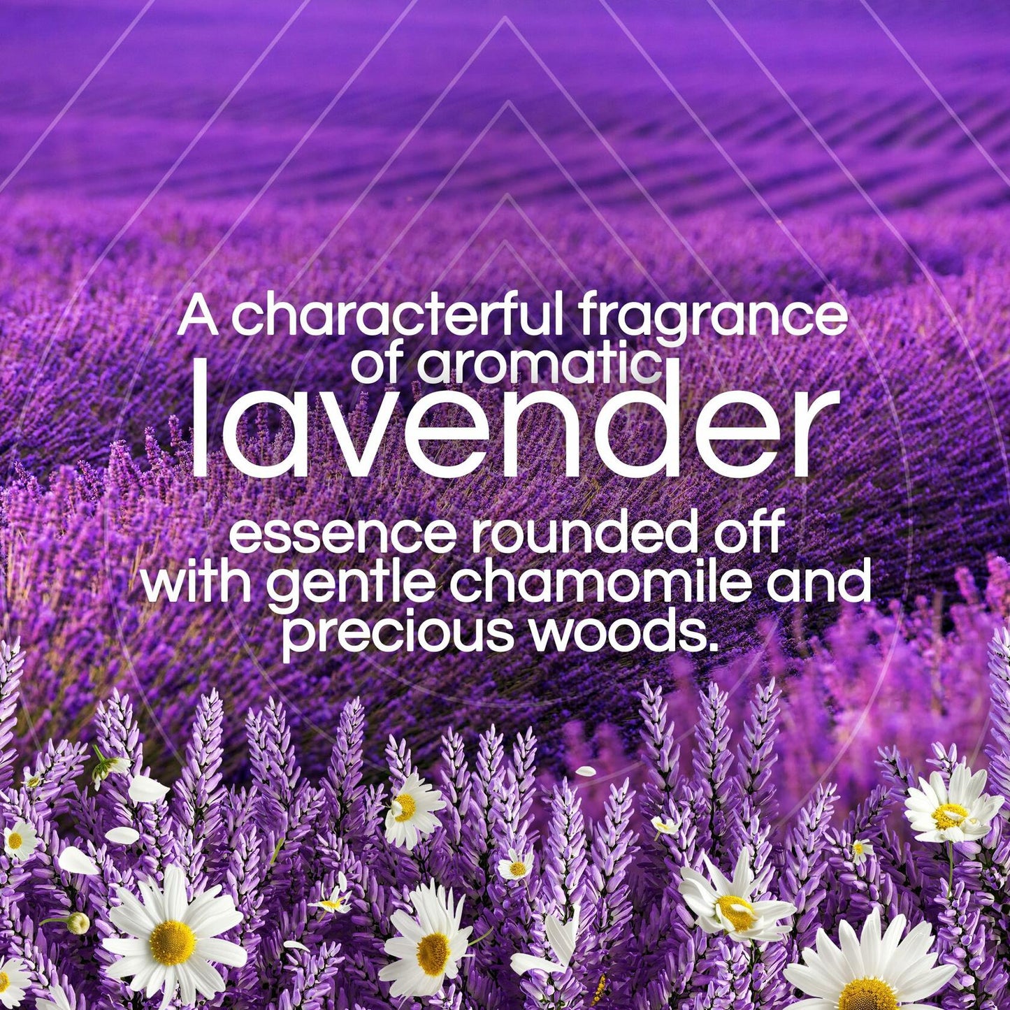 Air Wick Plug-in Scented Oil Refill Lavender Chamomile 7 ct Air Freshener
