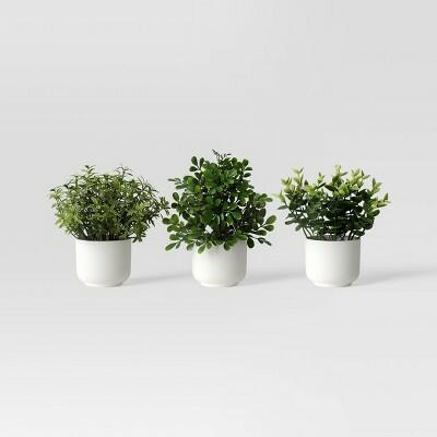 Room Essentials Herb Artificial Plant White Pot Color White