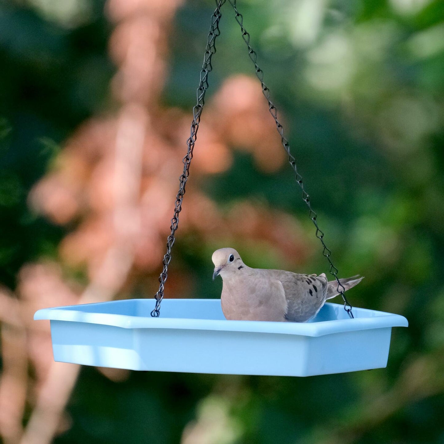 Natures Way RPFT4 EcoCycle Combo Cafe 2in1 Bird Feeder&Bird Bath Blue Case of4