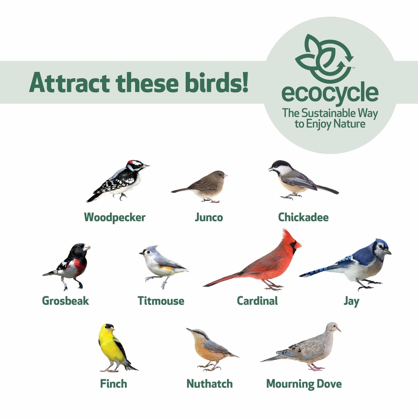 Natures Way RPFT4 EcoCycle Combo Cafe 2in1 Bird Feeder&Bird Bath Blue Case of4
