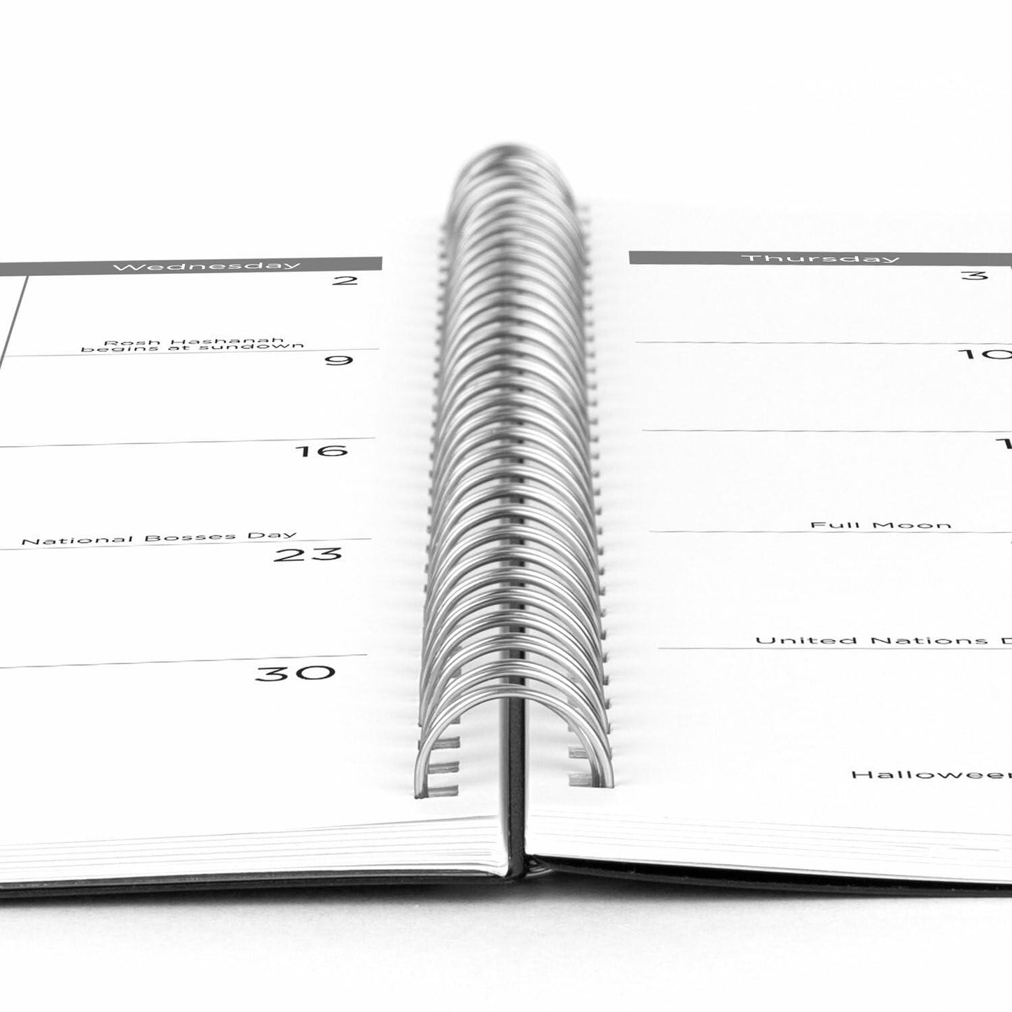 Mead 2025 Weekly Monthly Planner 15-Month Large 8.5x11 Black