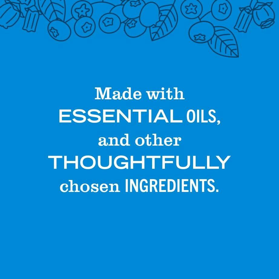 Mrs. MEYER'S CLEAN DAY Liquid Hand Soap Blueberry 12.5oz Pack of 6