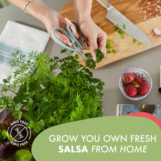 Garden Republic Salsa Grow Kit Starter Kit with Seeds Soil Planters Shears