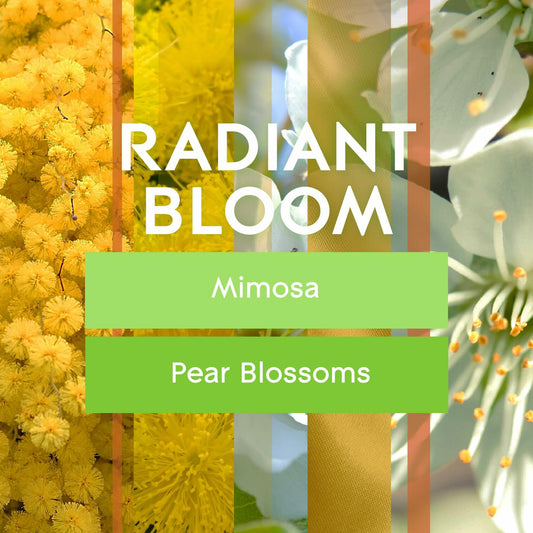 Glade PlugIns Refills Radiant Bloom Air Freshener 0.67oz 2 Count