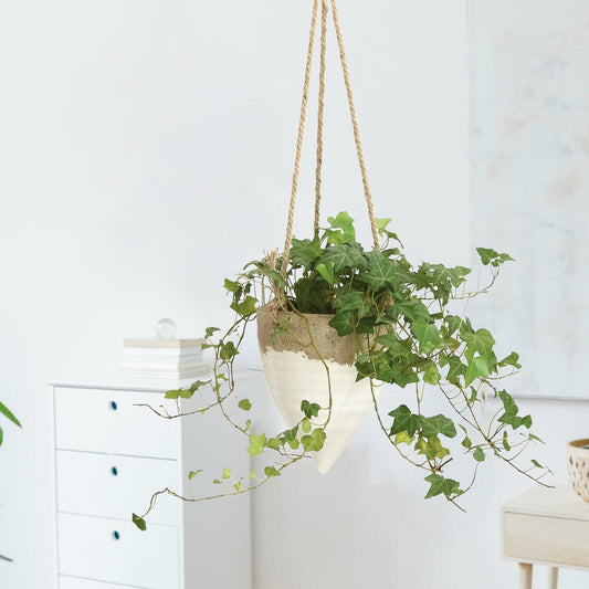 Creative Co-Op Medium White Stoneware Hanging Planter with Jute Rope