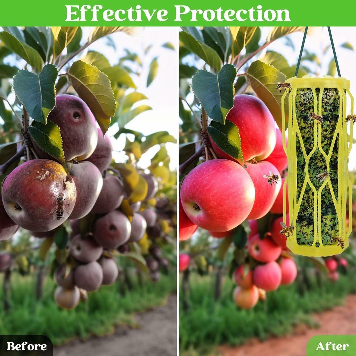 Dwcom Trap Wasp Traps Outdoor Hanging Fluorescent Green 2 Pack