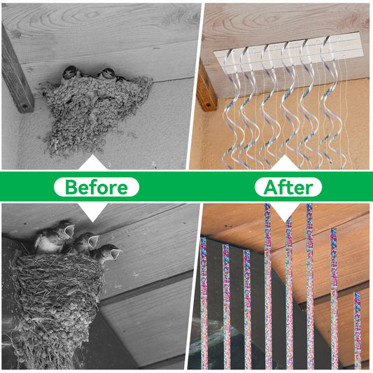 Qualirey Swallow Shield Transparent 3x11 Adhesive Strips 6 Pcs Bird Deterrent