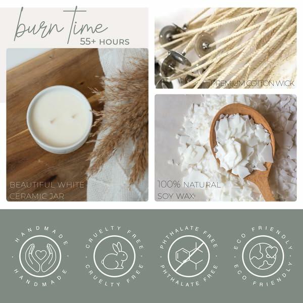 Wick'd Co. Birch + Amber Scented Soy Candle 12oz Natural Cotton Wick