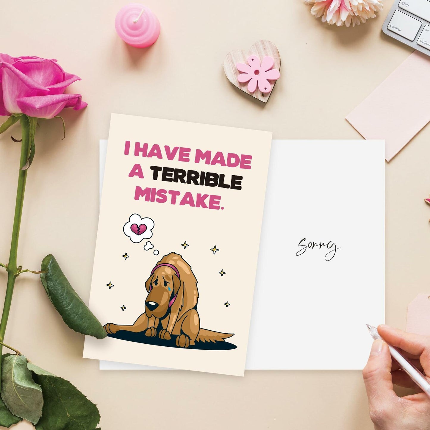 Detuca I'm Sorry Greeting Card Funny Apology Card for Her Him