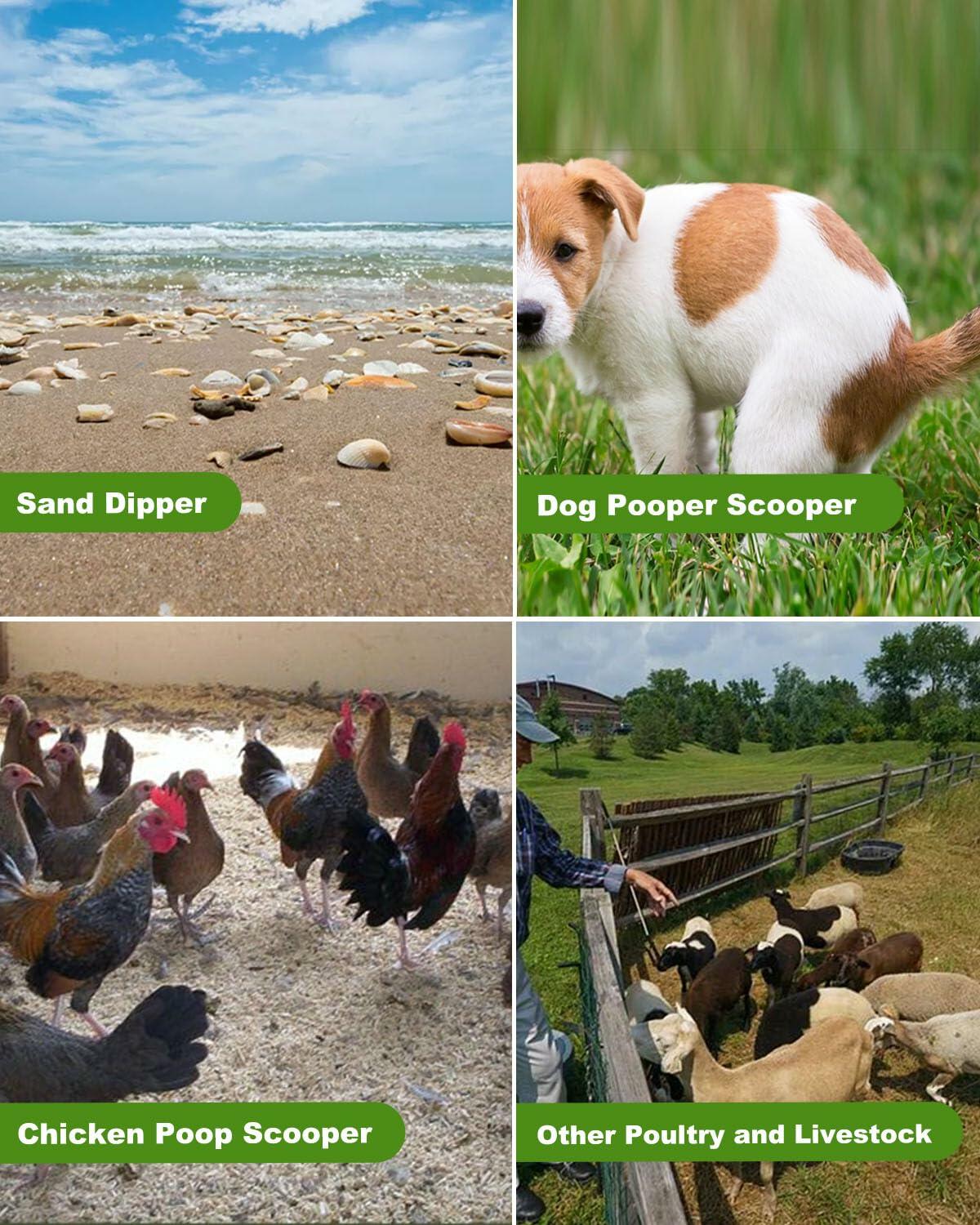 YQDHYLYH Metal Chicken Poop Scooper Heavy Duty Silver Large Coop Tool