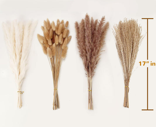ANPROOR Dried Pampas Grass 100 Stems Bunny Tails Boho Decor 17" White Brown