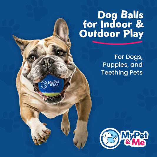My Pet & Me Dog Tennis Balls 2.5-Inch Soft Lightweight Indoor Outdoor 3 Pack