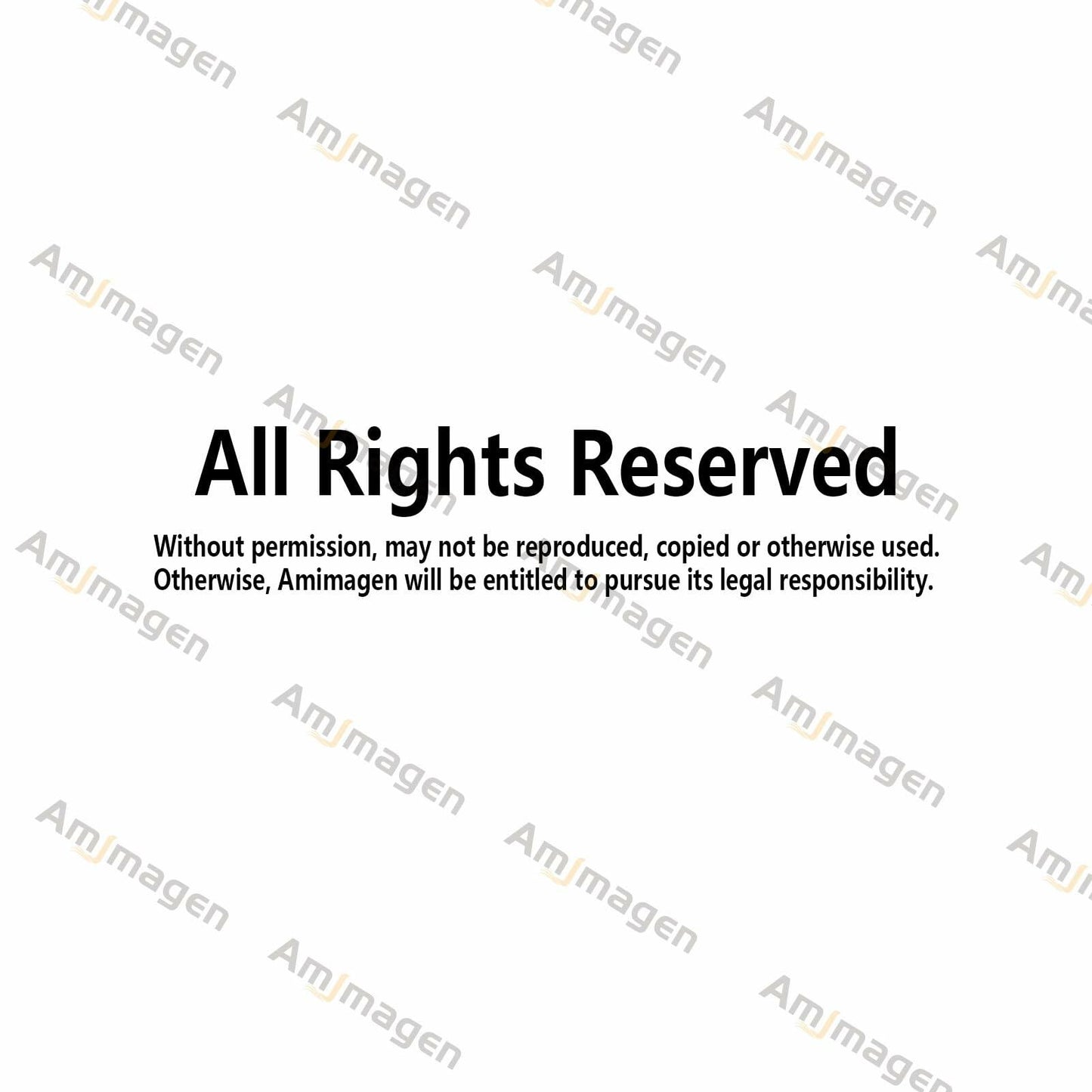 Amimagen Halloween Witch Bat Wall Stickers Gothic Vinyl Large Halloween Decor