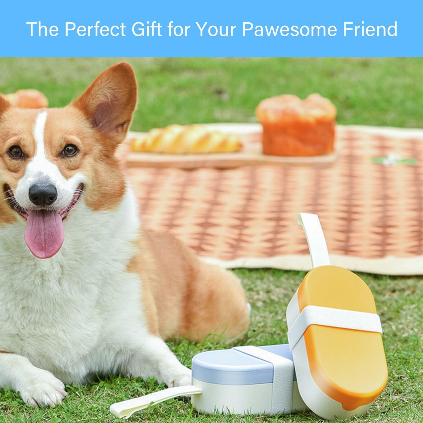 Maatouna Dog Water Bottle Foldable Leak-Proof Portable Outdoor Yellow