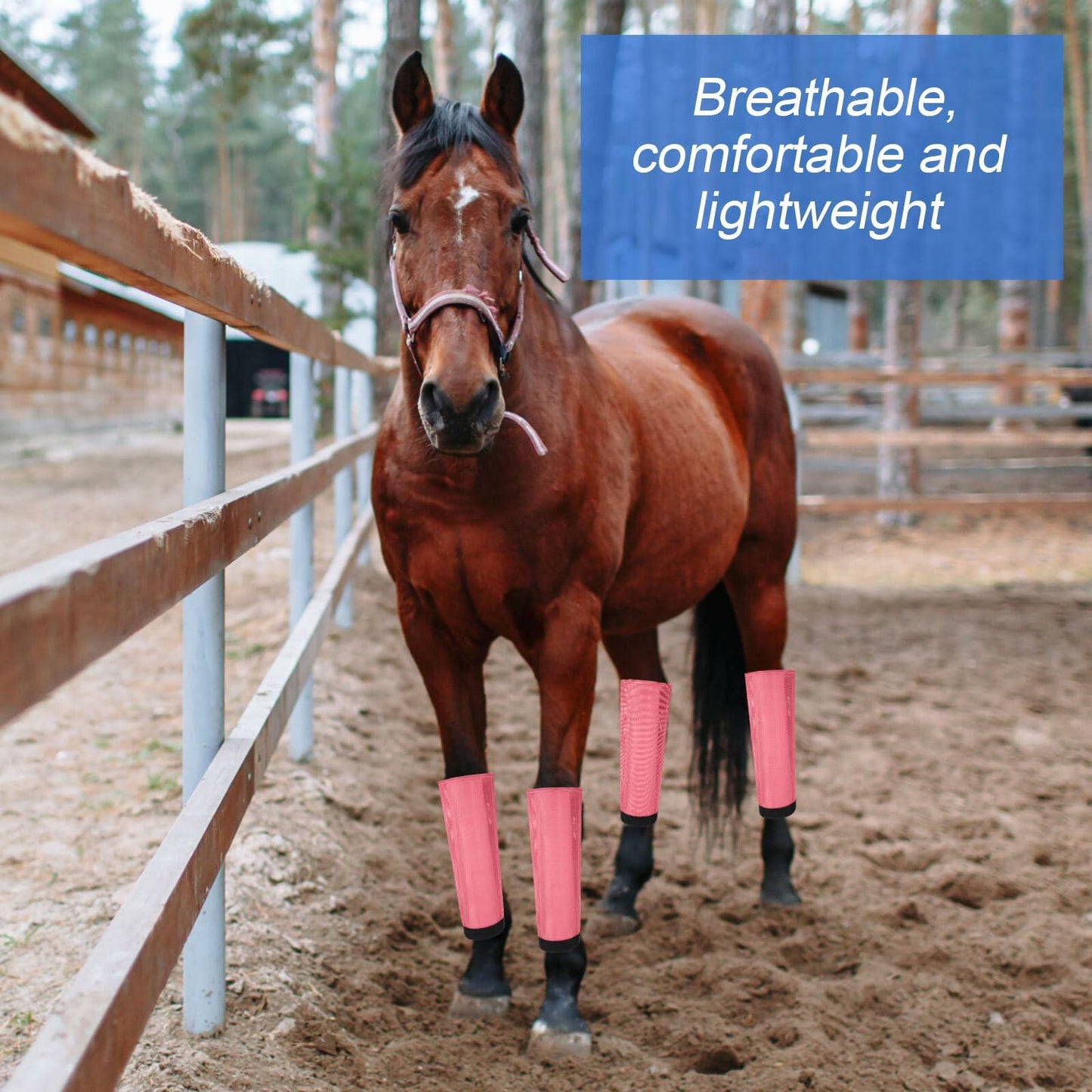 Bulyoou Set of 8 Mesh Fly Boots for Horse Breathable Adjustable Orange Purple