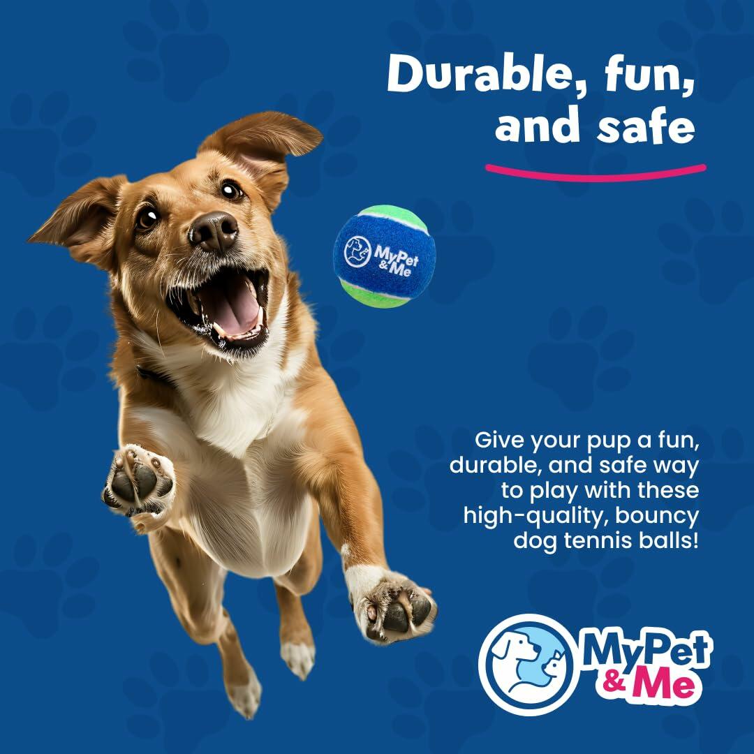 My Pet & Me Dog Tennis Balls 2.5-Inch Soft Lightweight Indoor Outdoor 4 Pack