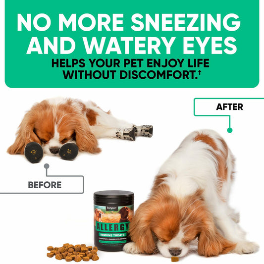 Kinpur Pet Care Natural Dog Allergy Chews 180 Treats Itch Relief