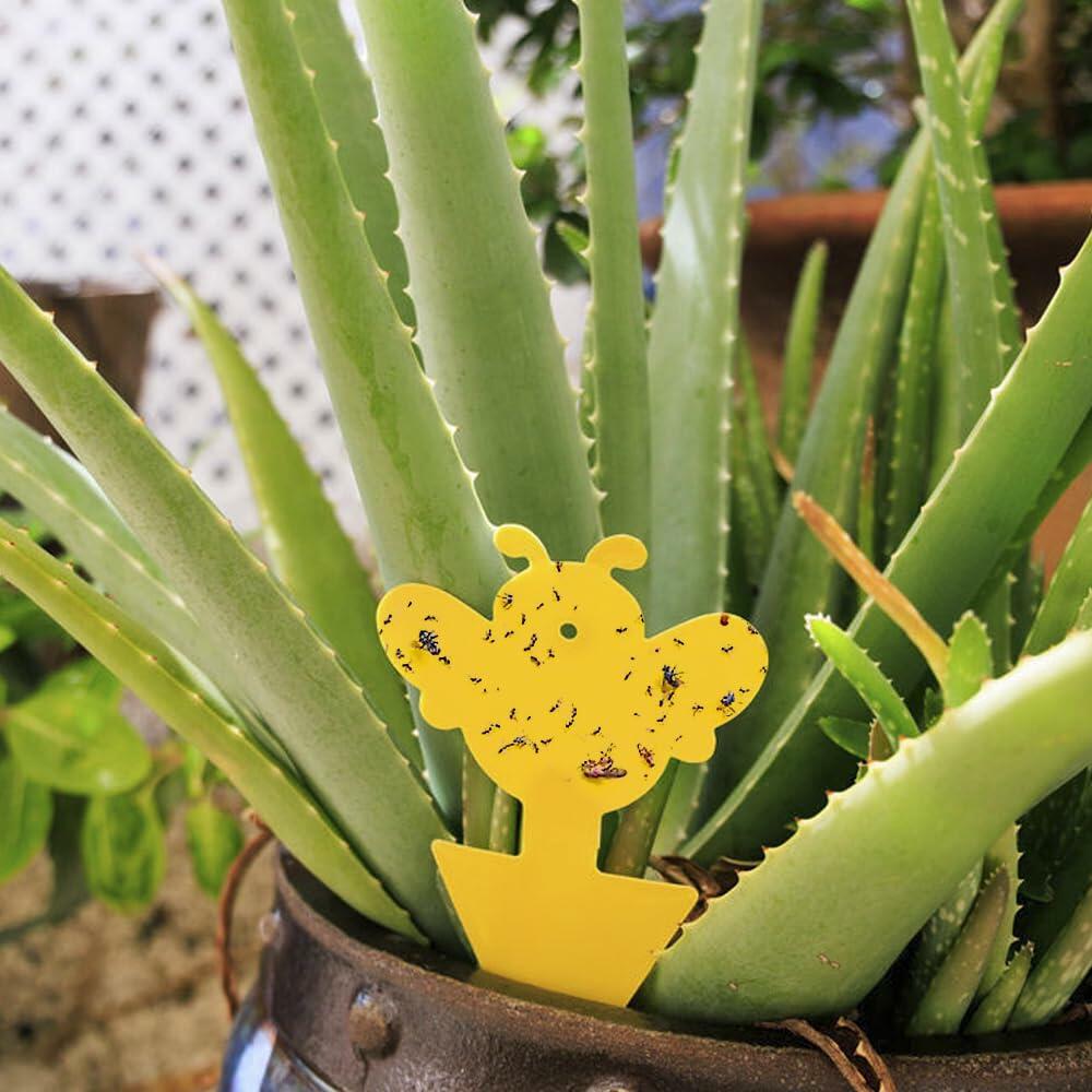 60Pcs Fungus Gnat Sticky Traps with Ties for Indoor Plants - Yellow