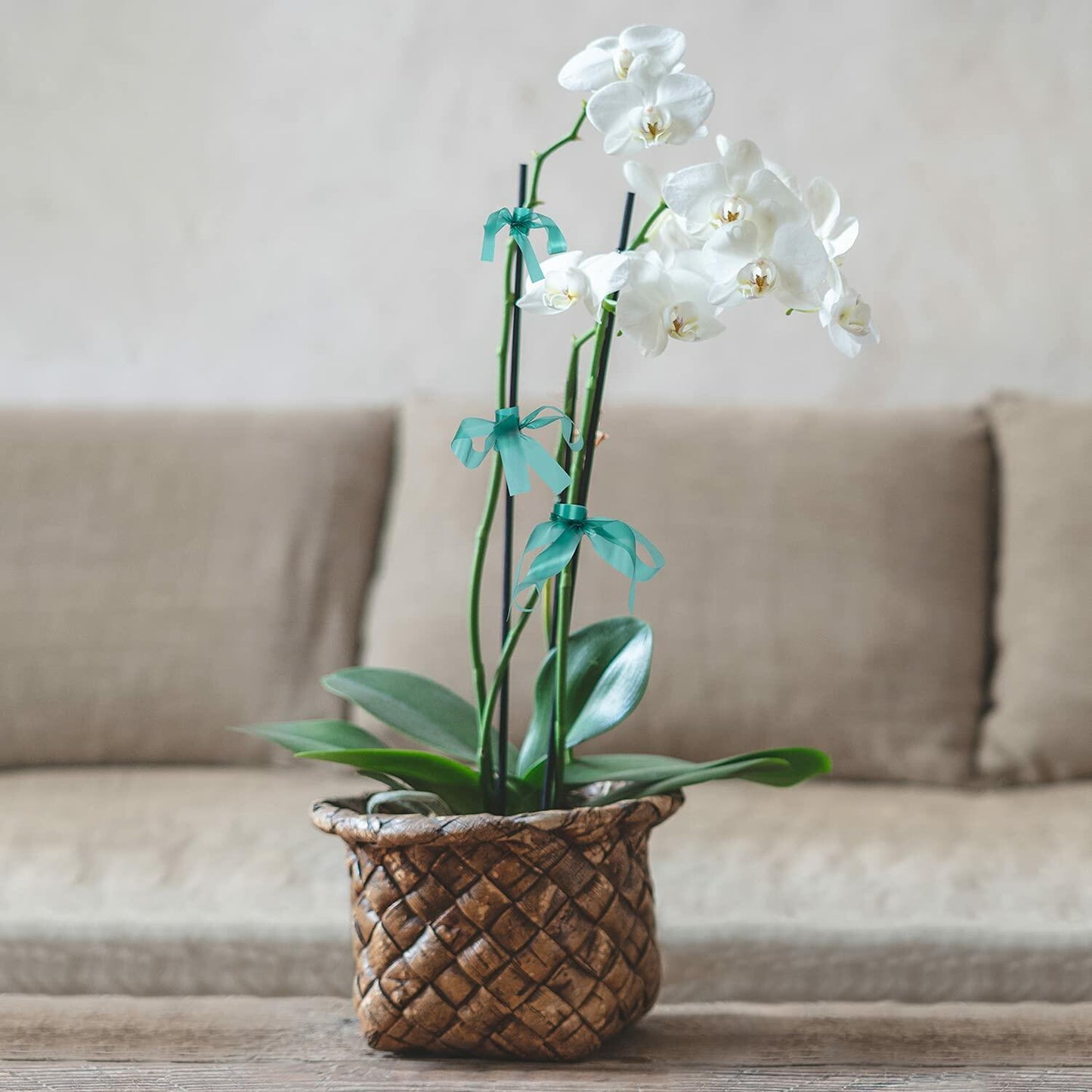 IKAYAS 300Ft Garden Plant Tape Rolls 2-Pack Reusable Tomato Plant Support