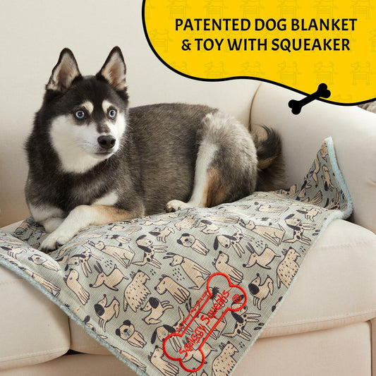 Squiggy Squeaks Dog & Cat Sleep Play Blanket Squeaky Toy 22x27in Blue/Green