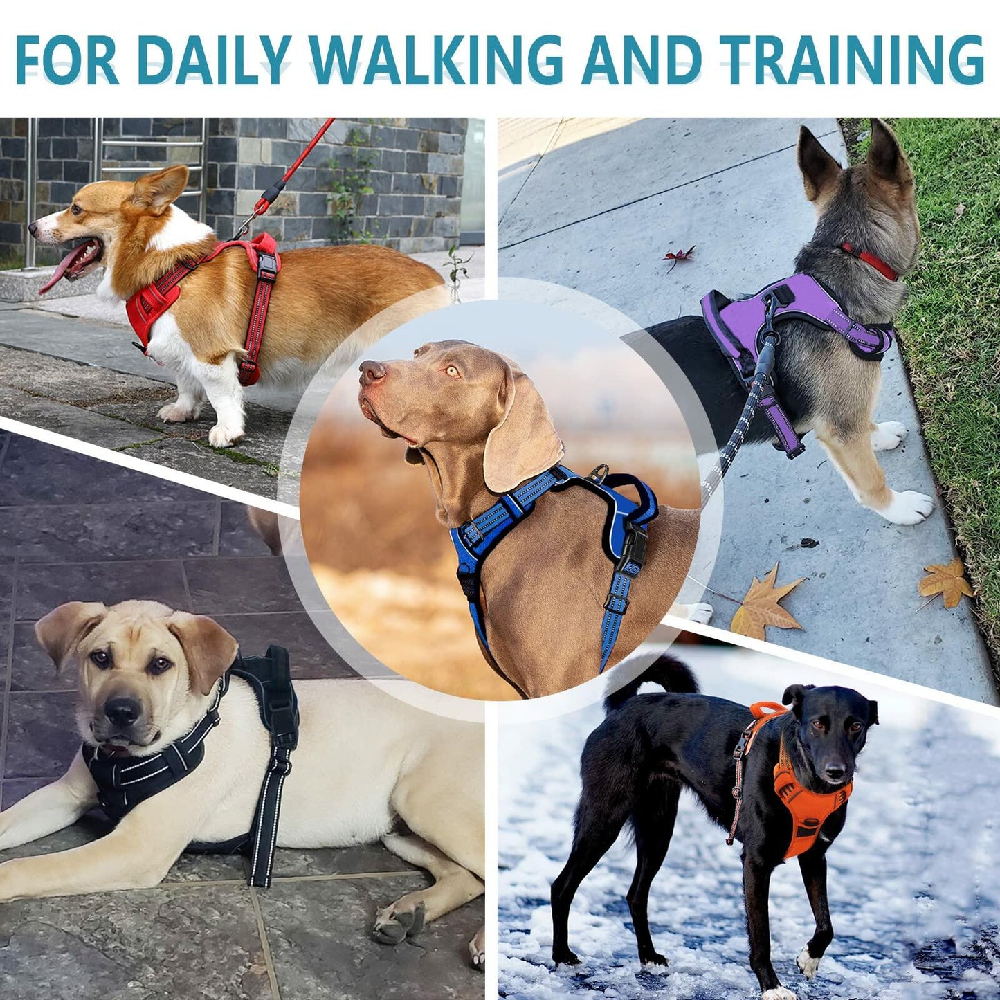 No Pull Dog Harness Adjustable Reflective Front Clip Padded Black Size L