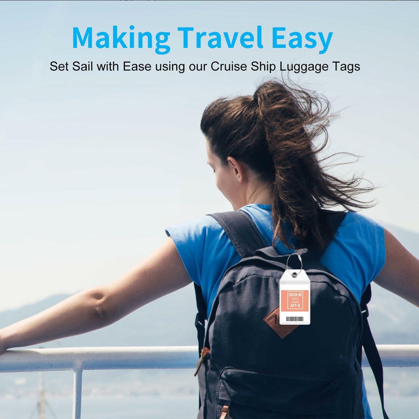 10 Pack Princess Clear Luggage Tag Holders with Steel Loops for Cruise Ships