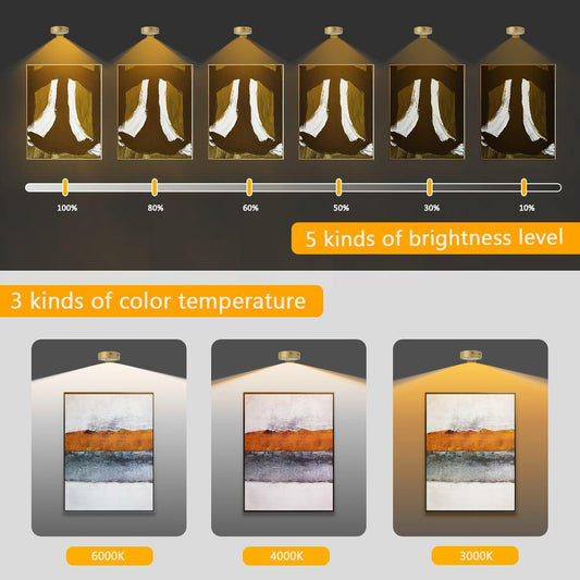 EUIOKUN Picture Lights Rechargeable Wireless Magnetic LED Wall Art Gold 2Pack