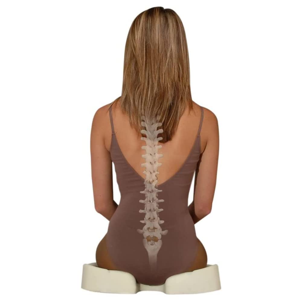 Contour Kabooti Coccyx Foam Seat Cushion Blue Ergonomic Orthopedic