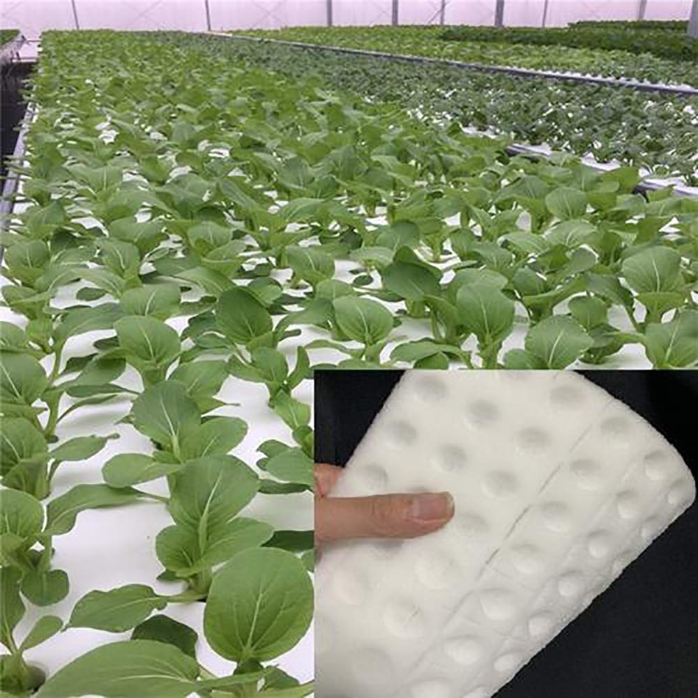 Juhao 100Pcs Hydroponic Square Seedling Sponges Gardening Tool for Growth