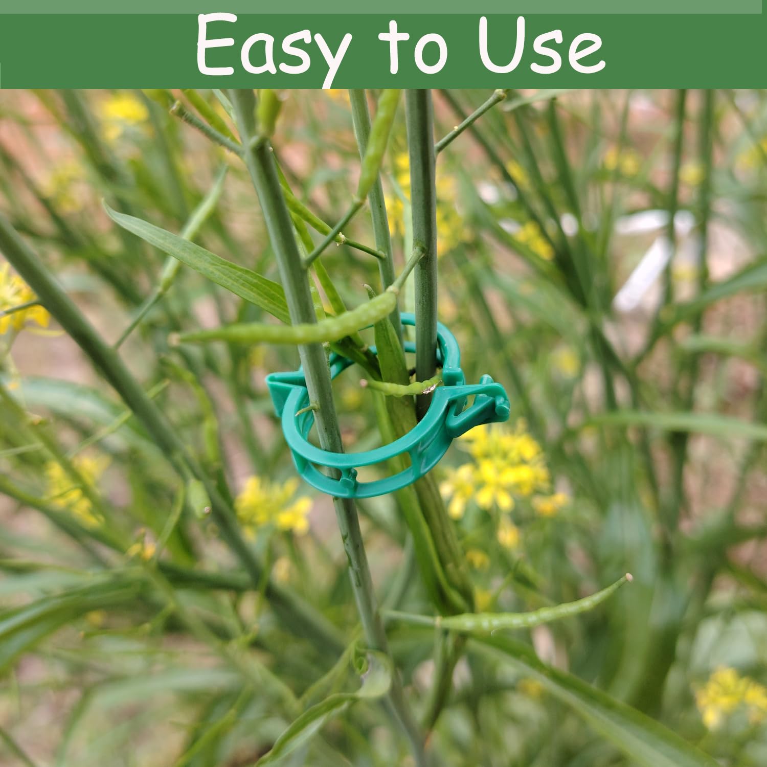 7Queen 250PK Plant Support Clips Tomato Grape Vine Green Plastic Clips