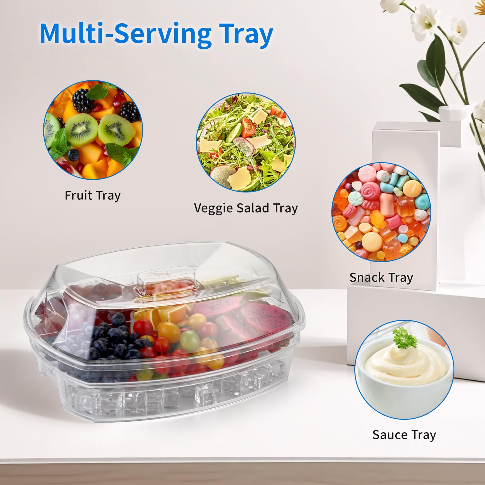 BETSO Serving Tray on Ice Chilled Food Bowl with Lids Compartments Clear