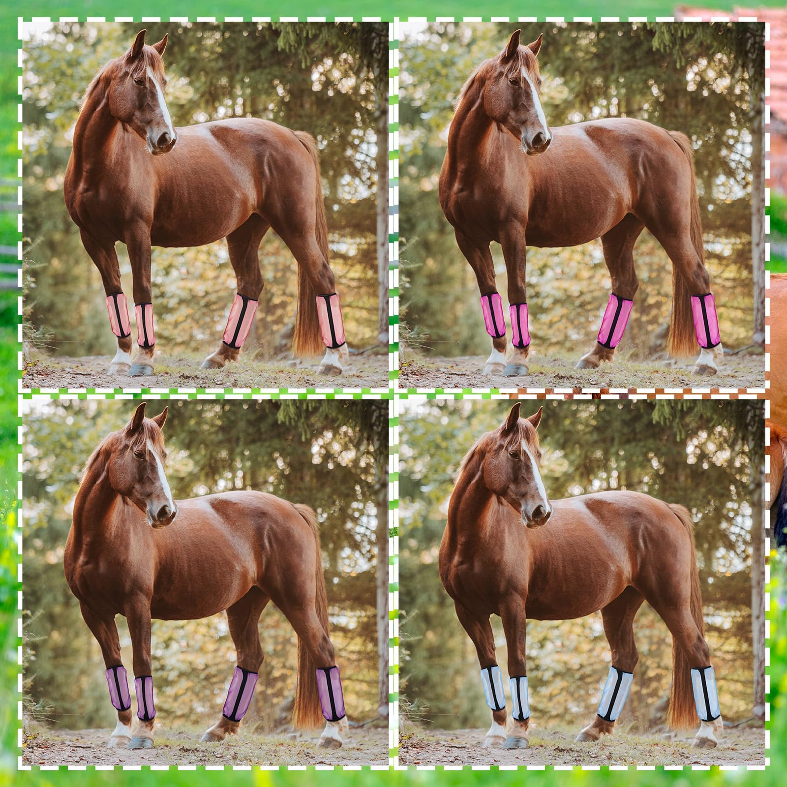 Sanwuta 16pcs Horse Mesh Fly Boots 14x9in Orange Sky Blue Rose Purple