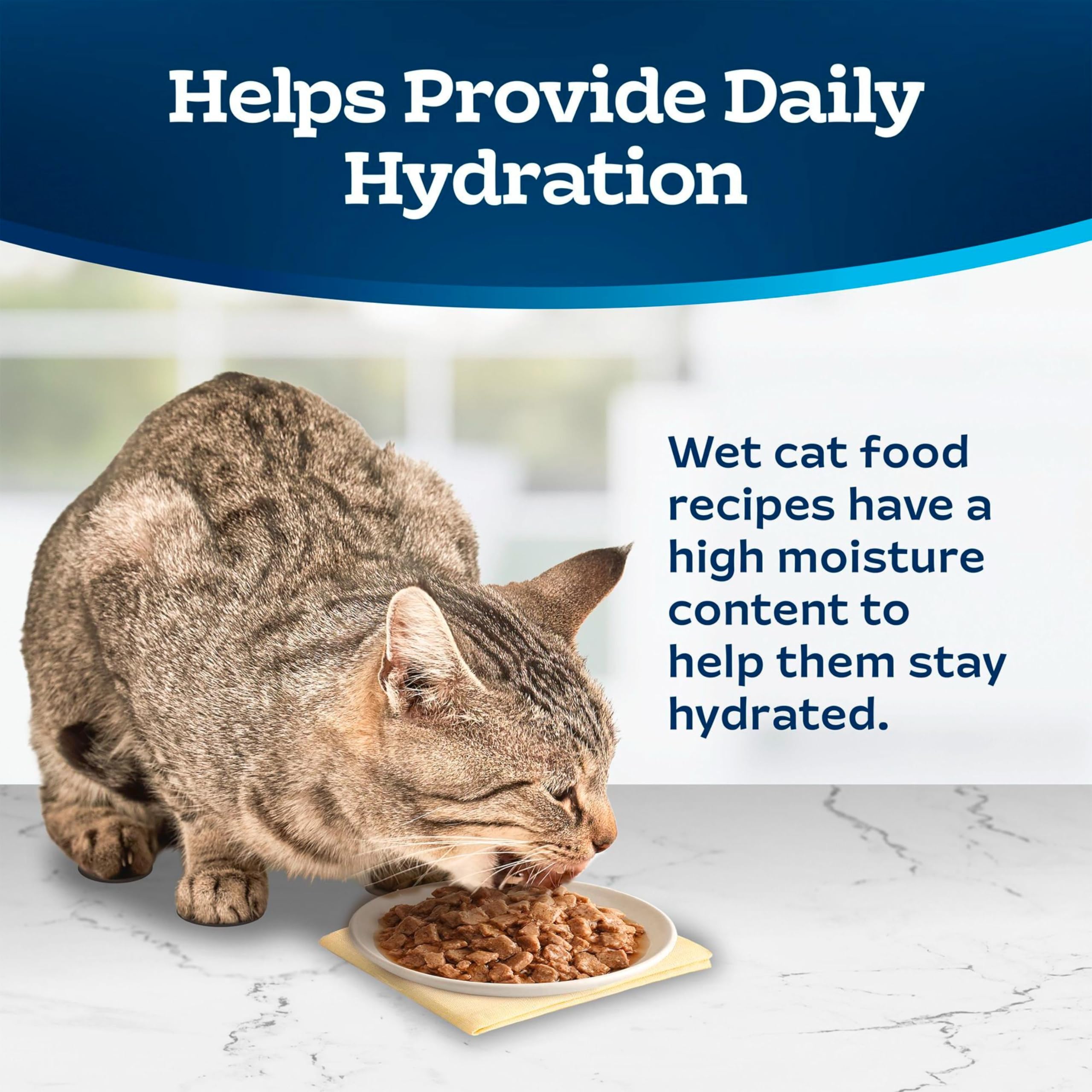 BestBy04/28 Blue Buffalo Tastefuls Wet Cat Food Variety Tuna Chicken 3oz 12ct