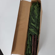 [Like New] 12-Pack 18-Inch Norfolk Pine Branches