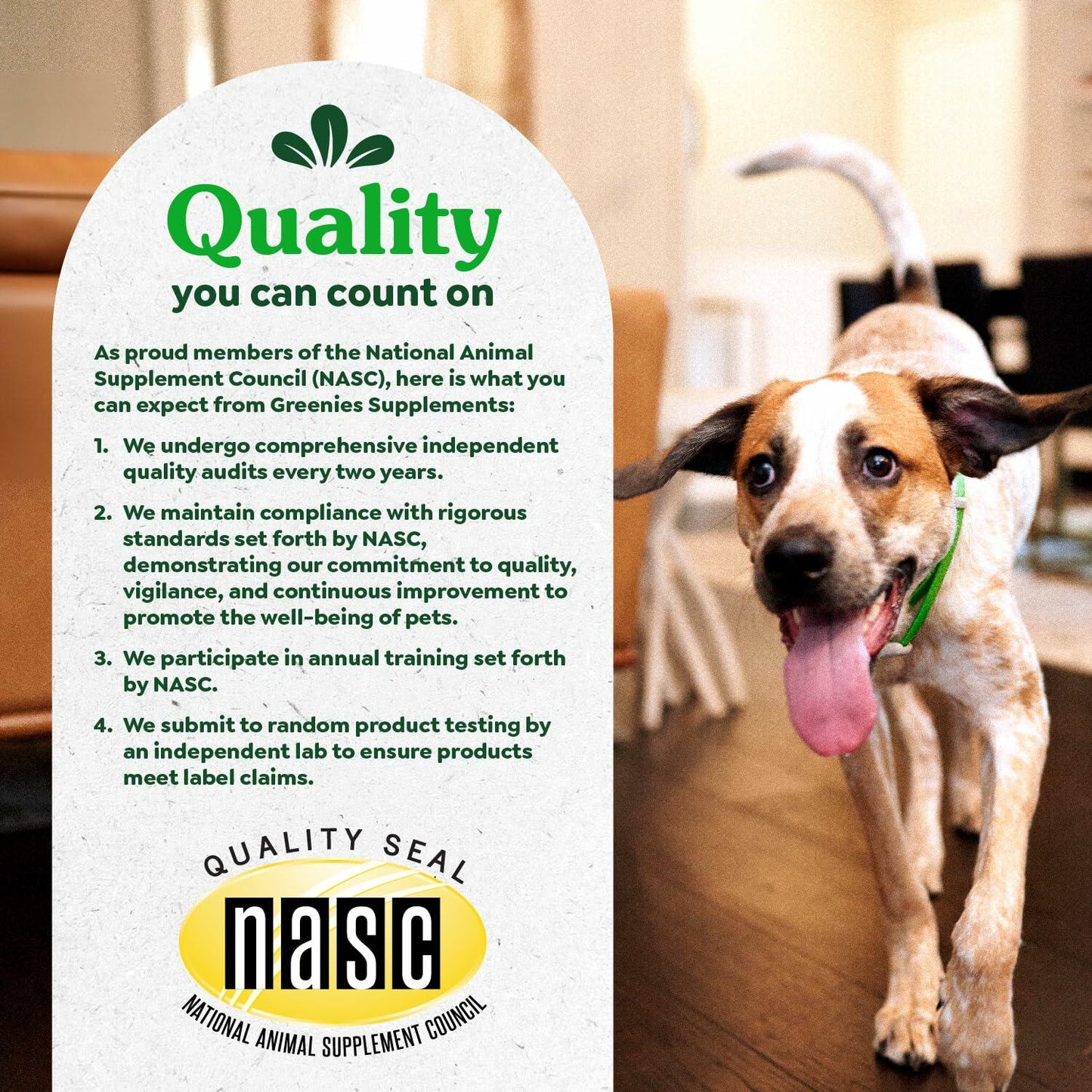2/25 Greenies Supplements Hip and Joint Supplements for Dogs, Chicken Flavor,