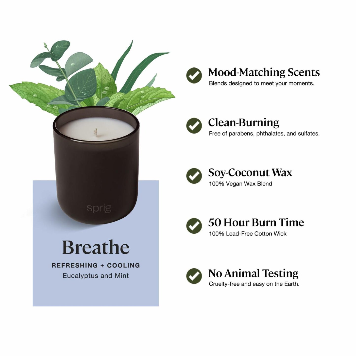 Sprig by Kohler Breathe Aromatherapy Candle with Eucalyptus and Mint -8 oz