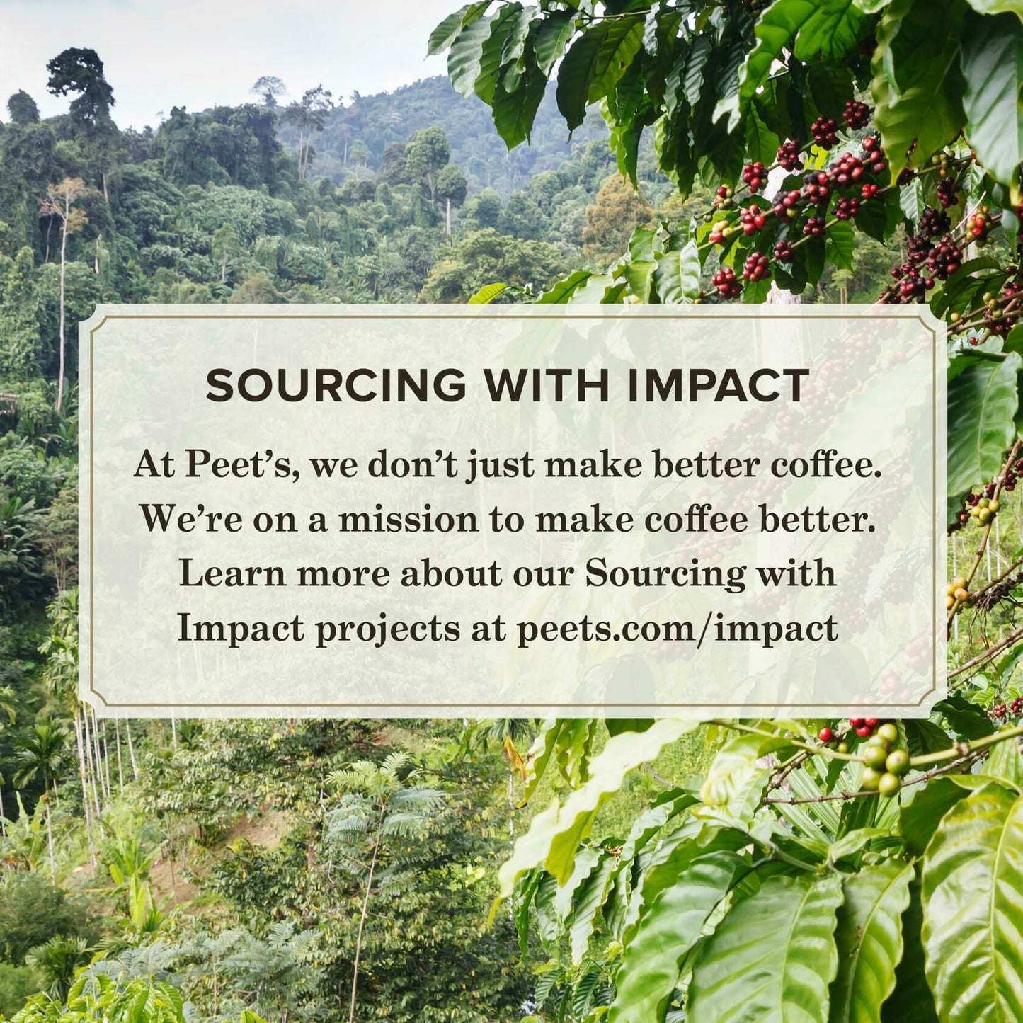 Peet's Coffee, Dark Roast Espresso Capsules (10 Boxes of 10 Espresso Capsules)